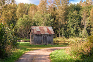 Autumn walk in Sweden past an old wooden hut at the edge of the forest