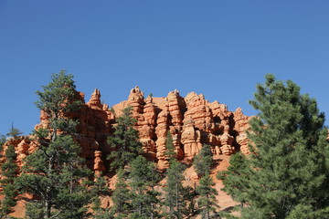  bryce   national  park the beauty of nature
