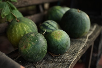 heap of ripe watermelons different on the bench in summer yard.