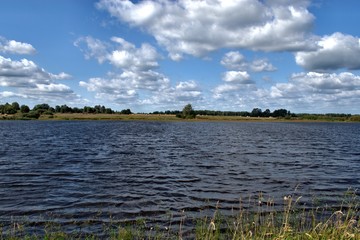 Russia, nature photos, Yaroslavl region, wildlife animals and plants.