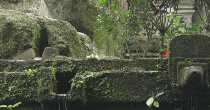 Gunung Kawi Temple Spring Closeup