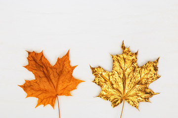 Nature maple leaves gold painted, different fall leaves kit natural yellow and metallic golden colors.