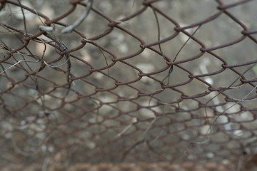 Closed up old grunge metal mesh fence with dried weed.