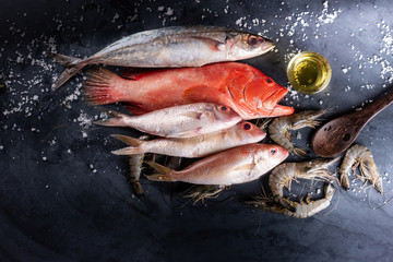 Red Snapper raw fish on table top