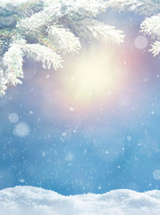 Beautiful snowy winter landscape with a snowy fir branch, snowflakes and blue sky. Winter christmas background.