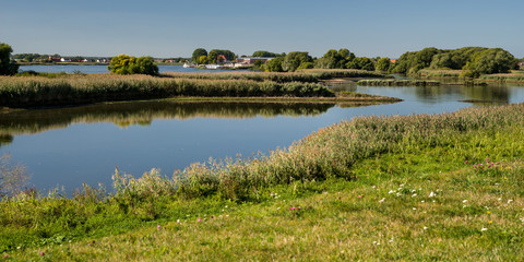 Panoramic View Landscape River Elbe Germany Hamburg