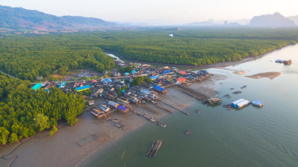 Obraz premium pine forest in wetland have a small fishing village inside