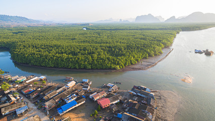 Naklejka premium pine forest in wetland have a small fishing village inside