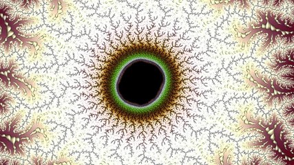 Mandelbrot set exhibit an elaborate and infinitely complicated boundary that reveals progressively ever-finer recursive detail at increasing magnifications. The "style" of this repeating detail depend