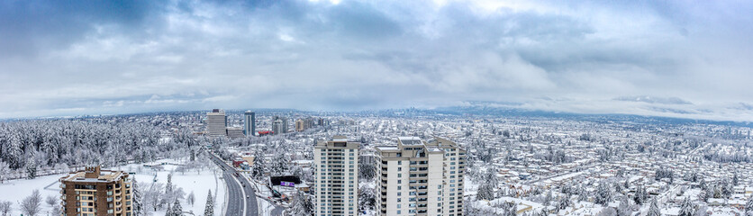 Vancouver Snowy Day