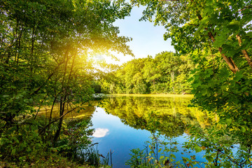Fototapeta premium Sun over lake in forest