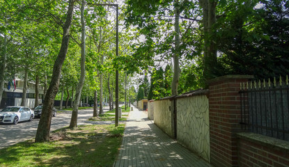 Zamardi is a small resort on the bank of lake Balaton