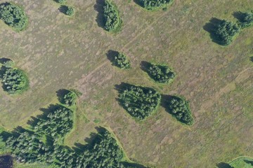 fields and forests in summer, aerial view, in the Novosibirsk region, Russia