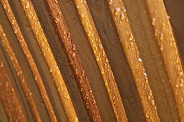 raindrops on a wooden chair