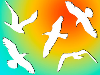 white silhouettes of flying birds against the sky and the bright sun.