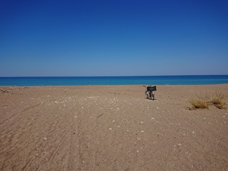An old bike abadonded in a huge beach full of sand