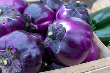 New harvest of tasty Sicilian round Viola eggplants vegetables on market