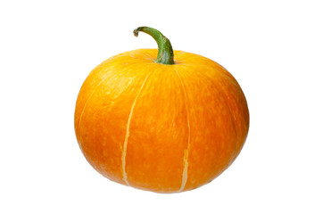 Pumpkin on a white isolated background