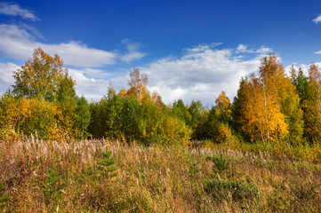 Autumn landscape multi-colored foliage of forest trees in the mountains against the sky and clouds.