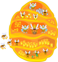 Naklejka premium Yellow cartoon beehive and honey bee family isolated on white background. Internal structure of beehive