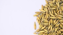 Portion of rotating oat on a white background (seamless loopable)