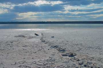 Dead shores of salty estuary near Odessa.