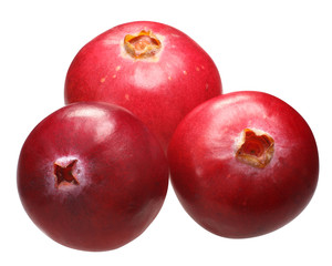 Three cranberries v. oxycoccs, paths