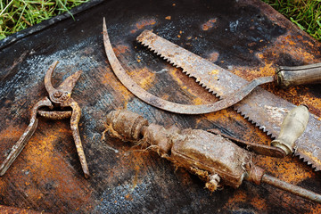 Old rusty horticultural tools with wooden handles on the iron rusty sheet