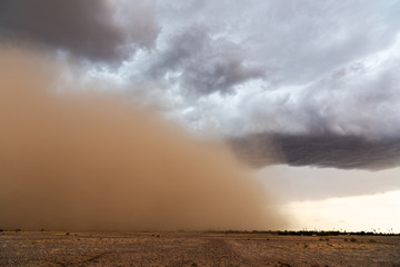 Naklejka na ściany i meble Haboob dust storm in the desert