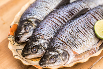 fresh fish served on a plate on a wooden table