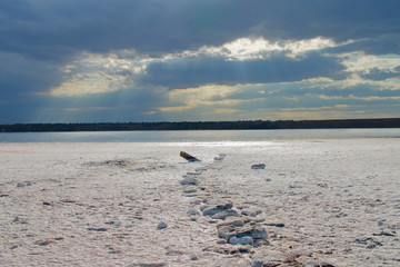 Dead estuary shores covered with salt.