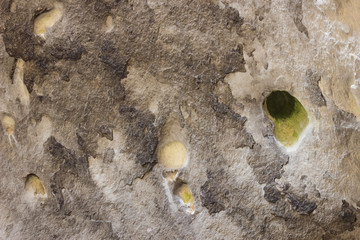 Colorful, irregular, unreal shapes and texture at the top of a massive cave Vladikine ploce
