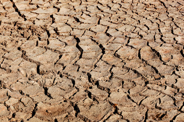 Earth cracked by drought.