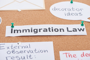 paper cards with decorator ideas and immigration law texts pinned on cork office board