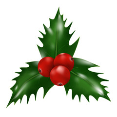 Holly berries isolated on white background. Christmas and New Year decoration. Vector