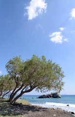 Fototapeta na wymiar Dionyssos Beach, Kreta
