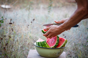 Mens hands cut ripe watermelon into slices, picnic outside, selective focus