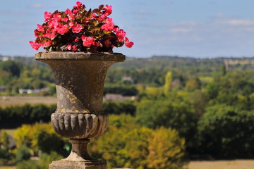 Flowerpot with a view