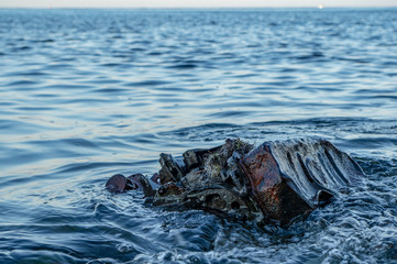 Old rusty engine lying among stones in the water.