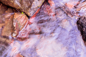 cold morning in the forest of Belaustegui, on the hill of Gorbea