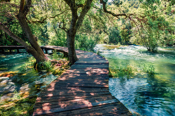 Wooden pathway in the deep green forest. Sunny summer scene of Krka National Park, Croatia, Europe....