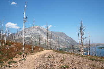 Waterton Lakes National Park, Alberta, Canada