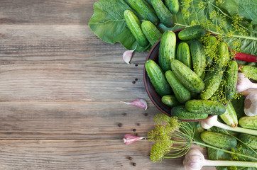 Cucumbers with dill herbs on a wooden background.