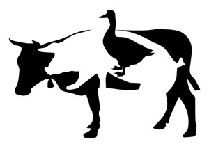 cow pig and goose by virtue