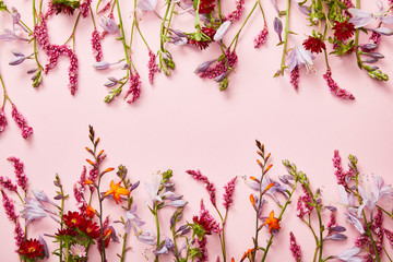 twigs of wildflowers on pink background with copy space