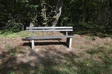 ławka © Iwona