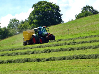 tractor mowing grass on a sloping meadow in midsummer