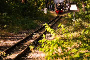 Naklejka premium Small Steam Locomotive, Narrow Gauge Railway, Narrow gauge railway in forest