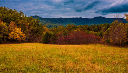 It's Starting To Look Like Fall