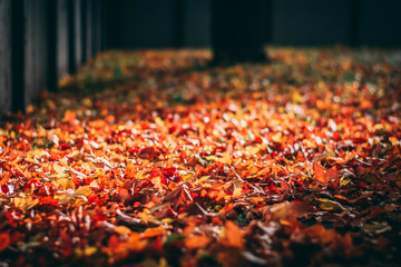 Stock images